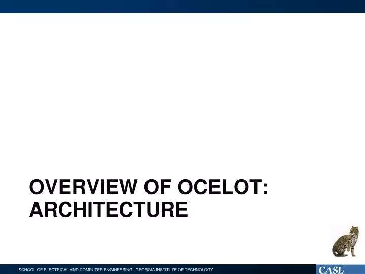 overview of ocelot architecture