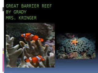 Great Barrier Reef by Grady Mrs. Kringer