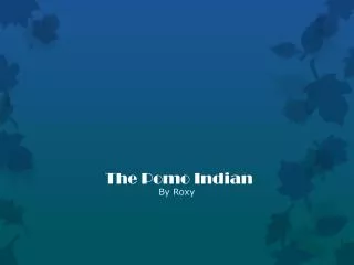 The Pomo Indian