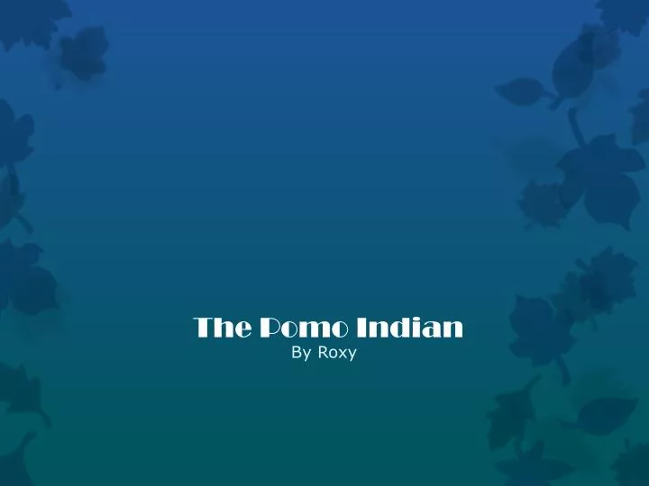 the pomo indian