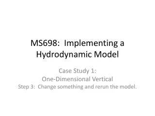 MS698: Implementing a Hydrodynamic Model