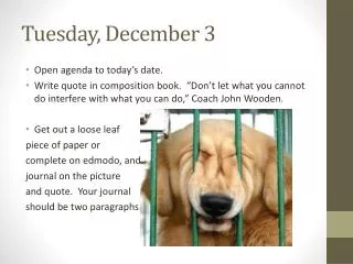 Tuesday, December 3