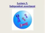Lecture 5: Independent assortment - slide 1