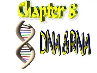 DNA &amp; RNA