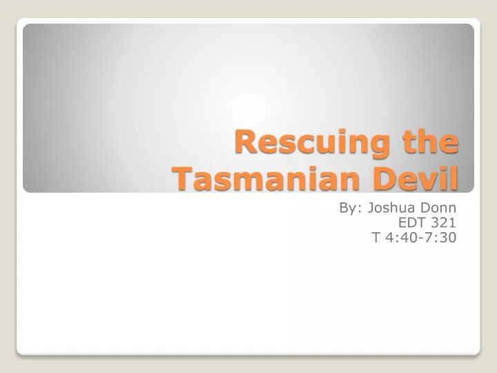 rescuing the tasmanian devil
