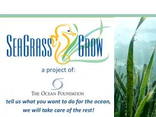 a project of: tell us what you want to do for the ocean, we will take care of the rest!