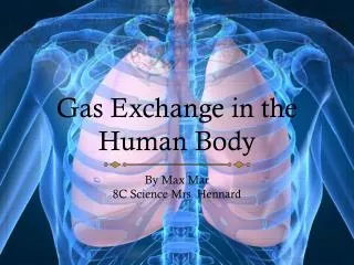 Gas Exchange in the Human Body