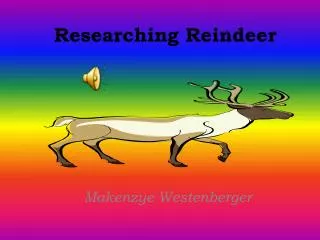 researching reindeer