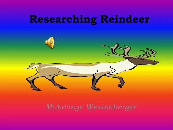 researching reindeer