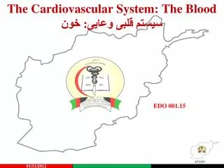 the cardiovascular system the blood