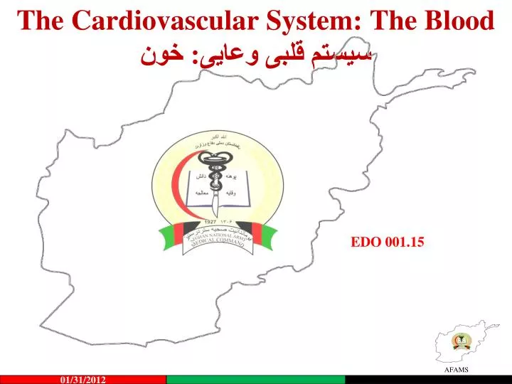 the cardiovascular system the blood