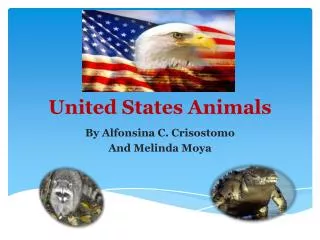 United States Animals