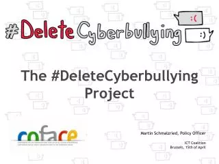 The #DeleteCyberbullying Project
