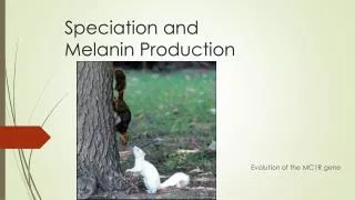 Speciation and Melanin Production