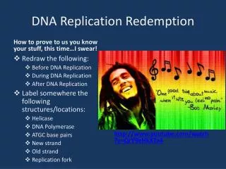 dna replication redemption