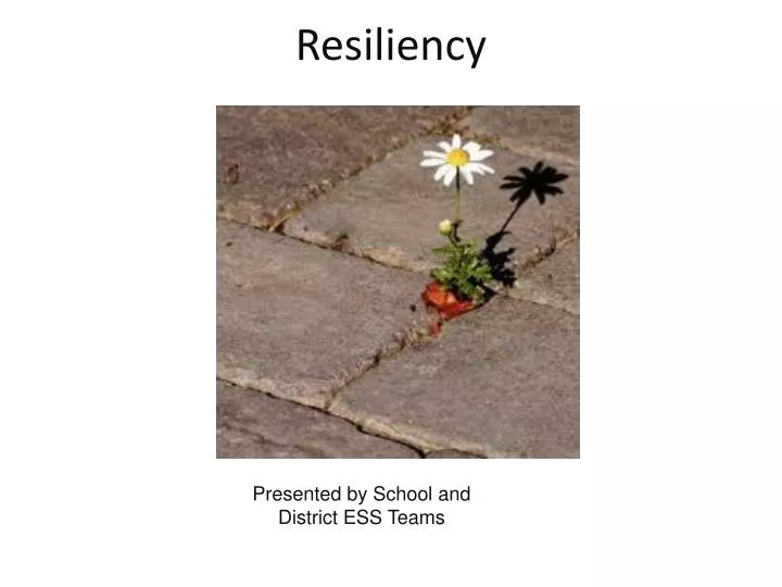 resiliency