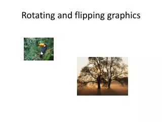 Rotating and flipping graphics