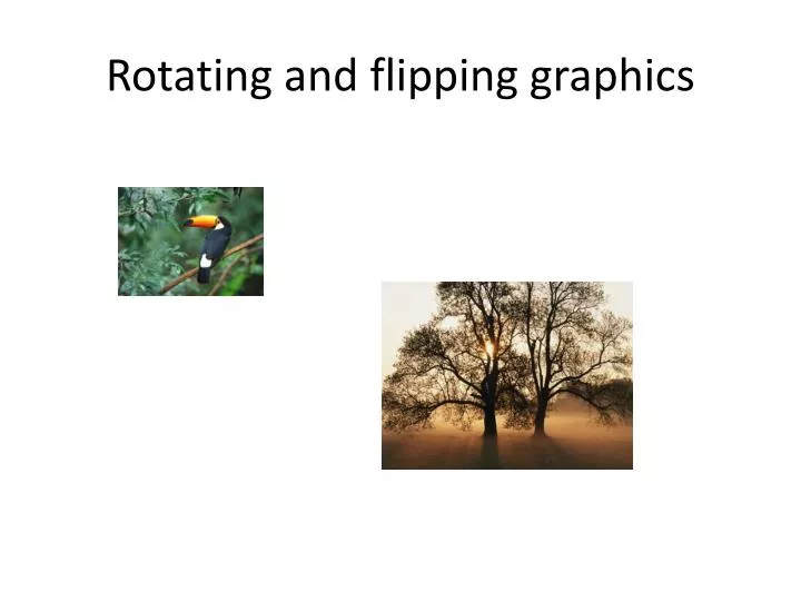 rotating and flipping graphics