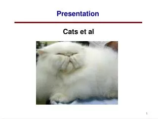 Presentation