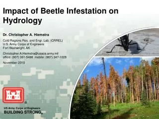 Impact of Beetle Infestation on Hydrology