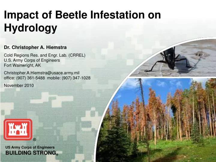 impact of beetle infestation on hydrology