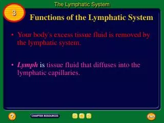 Functions of the Lymphatic System