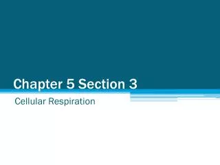 chapter 5 section 3
