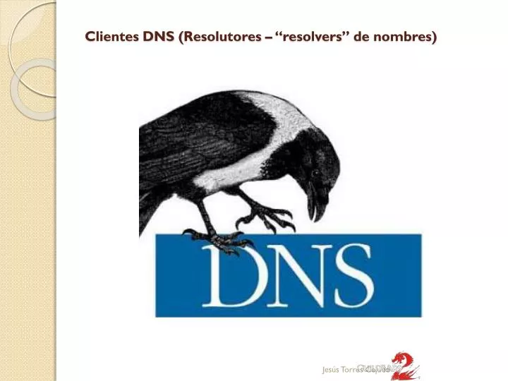 clientes dns resolutores resolvers de nombres