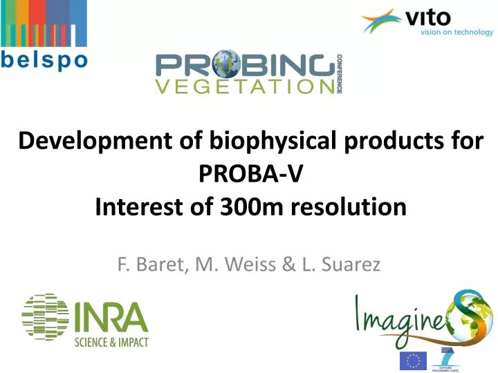 development of biophysical products for proba v interest of 300m resolution