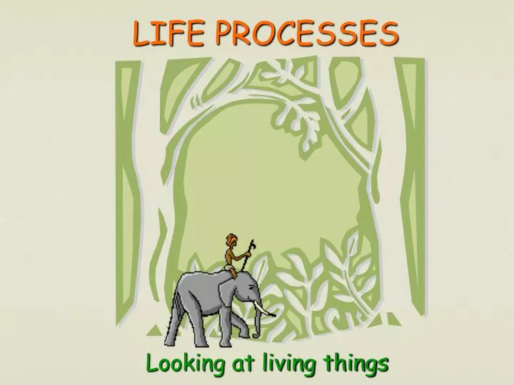 life processes