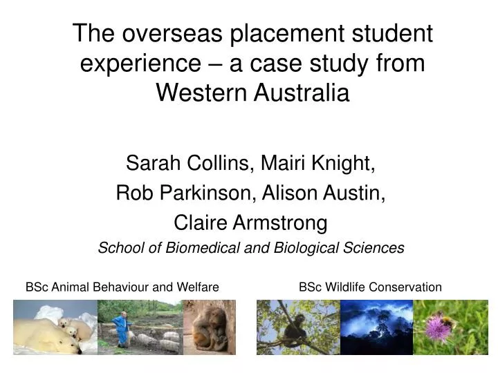 the overseas placement student experience a case study from western australia