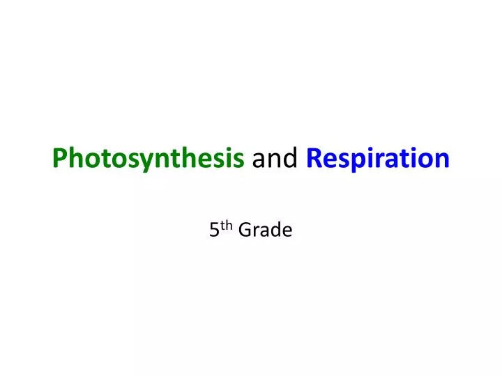 photosynthesis and respiration