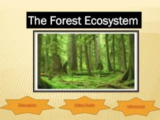 The Forest Ecosystem