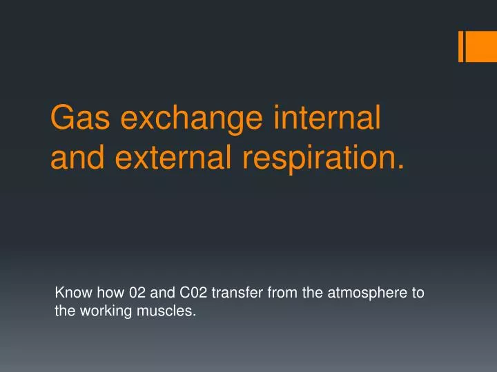 gas exchange internal and external respiration
