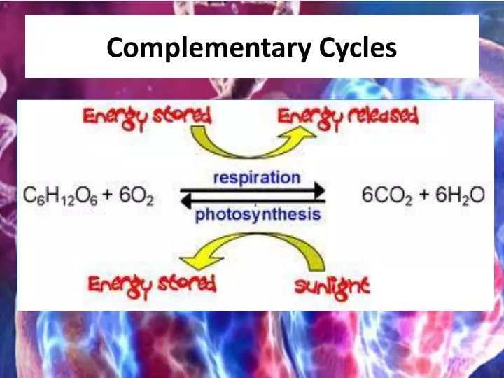 complementary cycles
