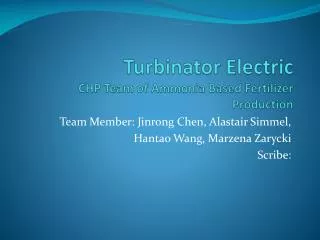 Turbinator Electric CHP Team of Ammonia Based Fertilizer Production