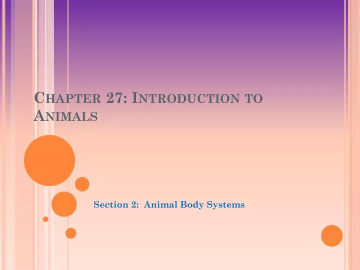 chapter 27 introduction to animals