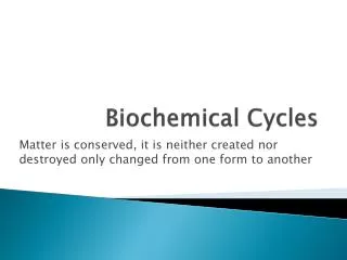 Biochemical Cycles