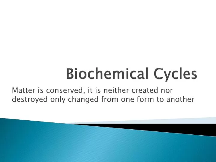 biochemical cycles