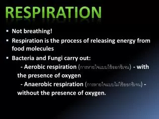 Not breathing! Respiration is the process of releasing energy from food molecules