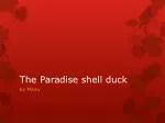 The Paradise shell duck - slide 1