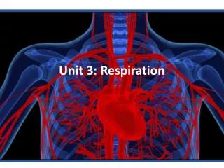 Unit 3: Respiration