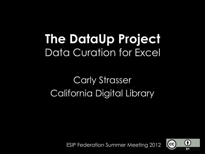 the dataup project data curation for excel