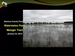 Alachua County Forever Watermelon Pond Metzger Tract January 24, 2012