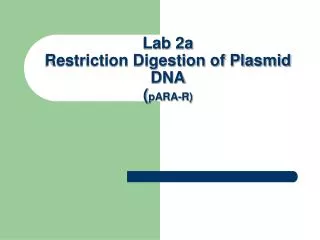 Lab 2a Restriction Digestion of Plasmid DNA ( pARA-R)