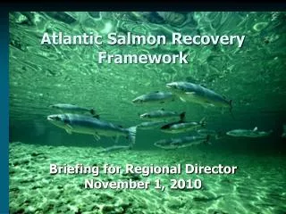 Atlantic Salmon Recovery Framework