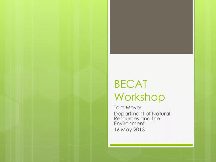 becat workshop