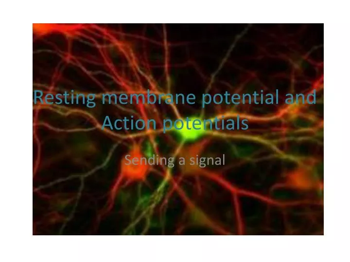 resting membrane potential and action potentials