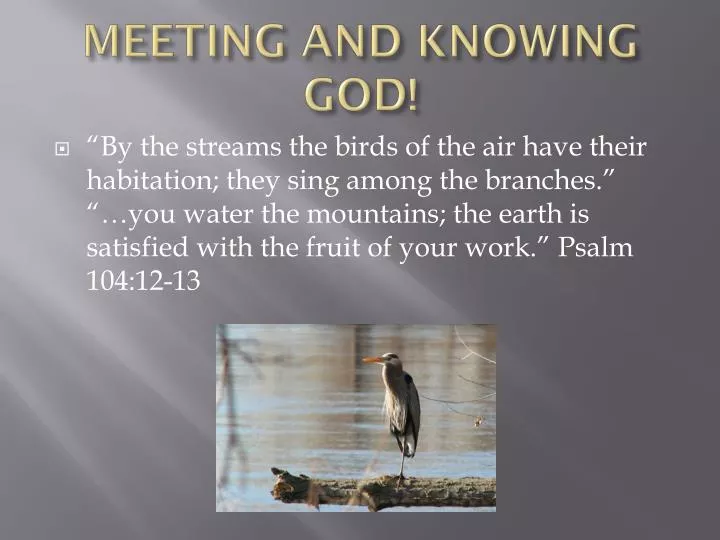 meeting and knowing god