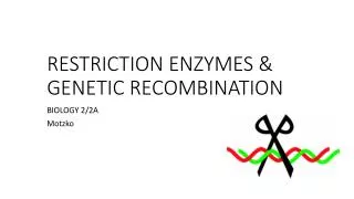 RESTRICTION ENZYMES &amp; GENETIC RECOMBINATION